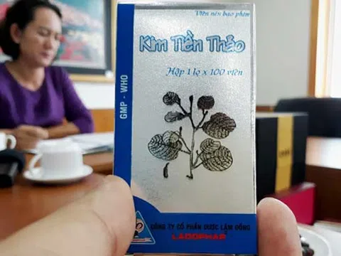 Tạm thu hồi 600.000 viên Kim Tiền Thảo chờ kiểm tra lại chất lượng